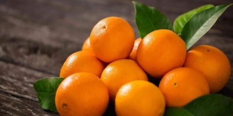 Alergija na narandže: simptomi kod djeteta, kako liječiti